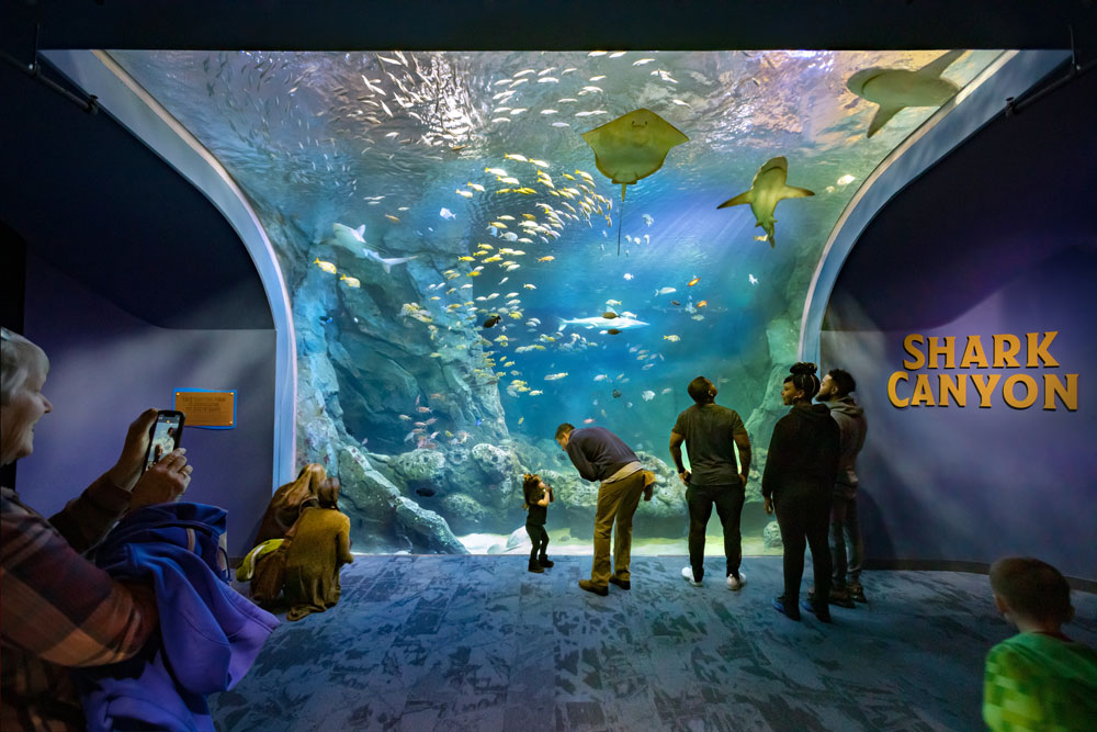 St. Louis Aquarium, St. Louis, MO